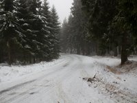 IMG_0006.jpg